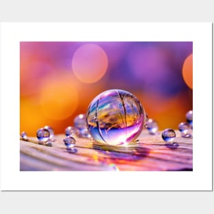 Water Drop Dewdrop Nature Serene Calm Posters and Art